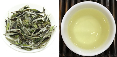 白茶（白牡丹）の茶葉、水色