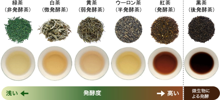 発酵によるお茶の分類